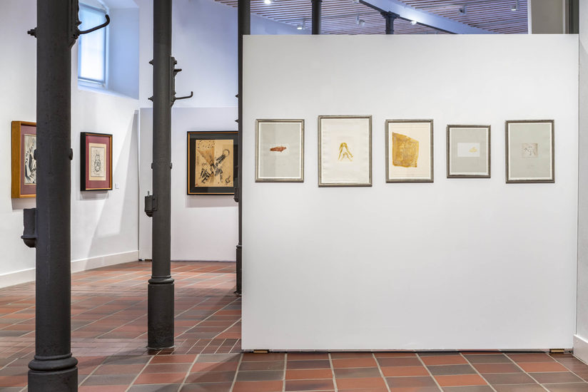Ausstellungsansicht mit gerahmten Bildern von Ella Bergmann-Michel und Joseph Beuys.