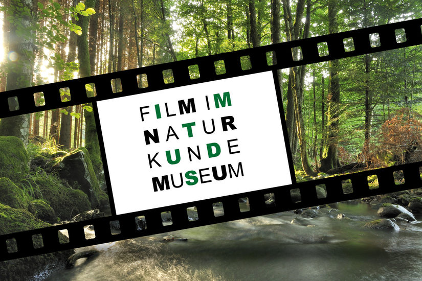 Filme im Naturkundemuseum