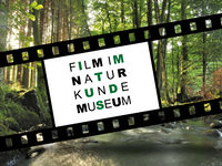 Film im Naturkundemuseum