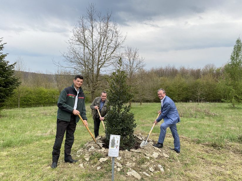 Baumpflanzung zum Tag des Baumes