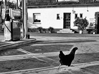 Ausstellung Kleibrink