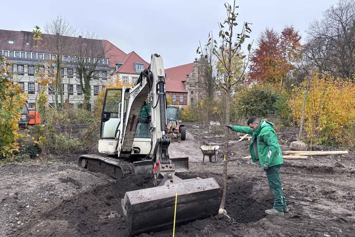 Baumpflanzung Geisselscher Garten