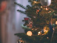 Basteln im Naturkundemuseum