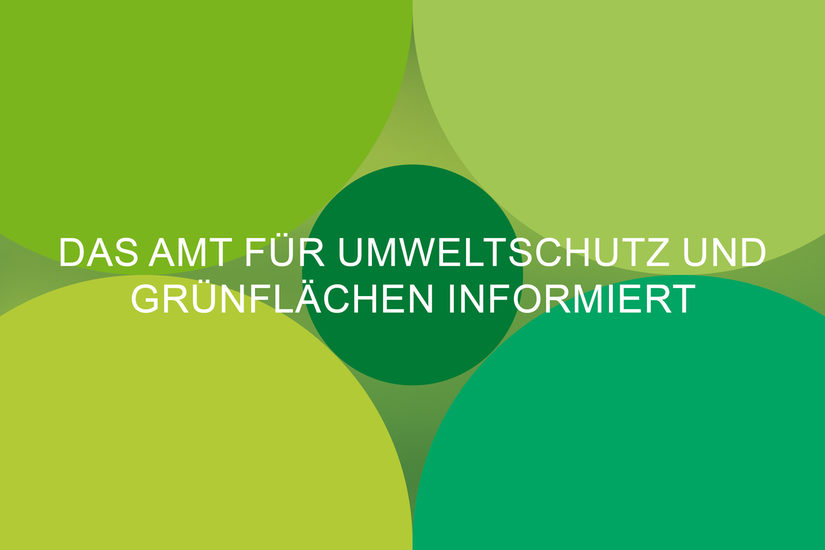 Vorbereitende Arbeiten Gartendenkmal