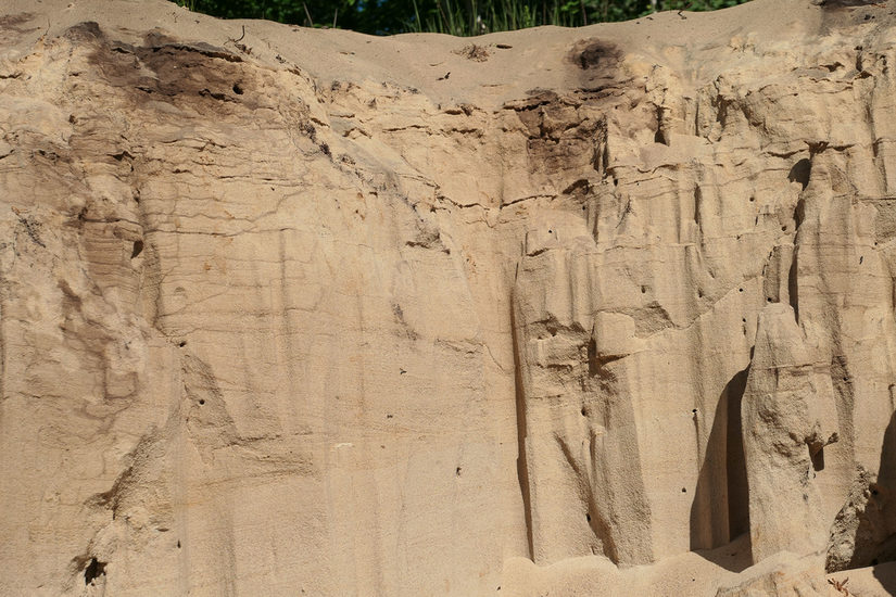 Sandwände mit zahlreichen Einfluglöchern von Wespen und Bienen
