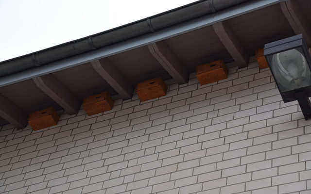 Mauersegler-Nisthilfen unter schützendem Dachüberstand