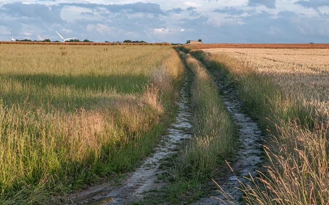 Schottergeprägter Feldweg mit begleitendem Grassaum