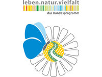 Das Logo des Projekts "Rückgewinnung und ökologische Optimierung kommunaler Flächen - Schaffung neuer Lebensräume für Insekten" mit Margerite, Schmetterling, Acker und Feldsaum". Darüber findet sich das Logo des Fördergebers.