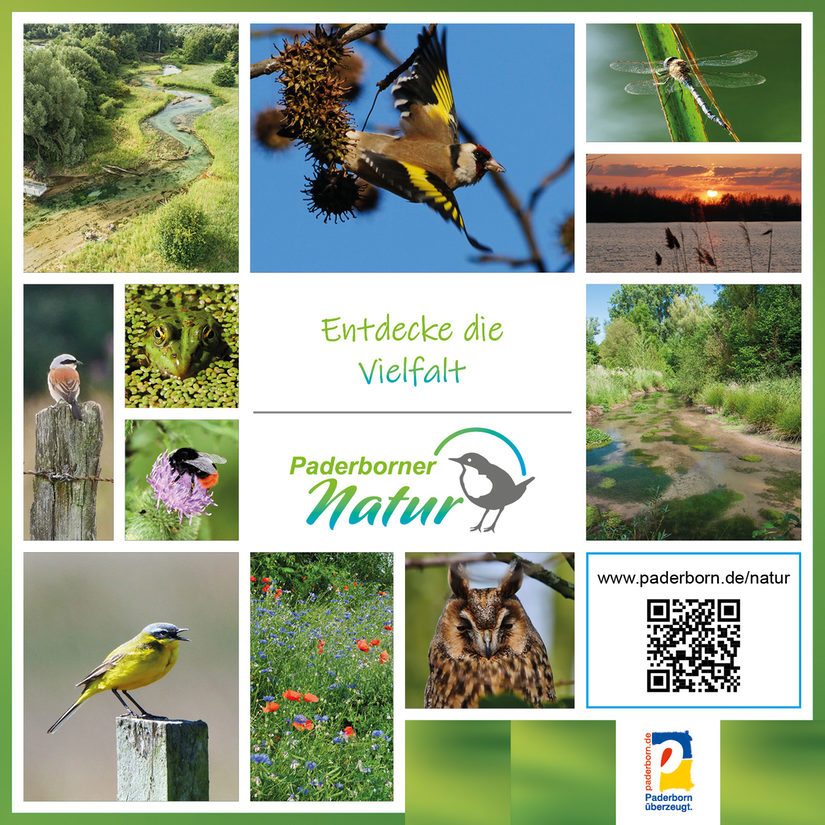 Postkarte "Paderborner Natur - Entdecke die Vielfalt"
