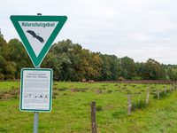 Naturschutzgebiet Elser Holz / Rottberg