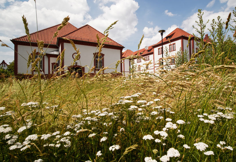 Foto der Kaserne, mit Gräsern und Blumen einer Wiese im Vordergrund.