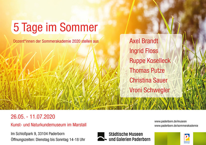 Plakat der Sommerakademie 2020 mit Textfeldern mit den Informationen über dem Foto einer Wiese im Sonnenlicht.