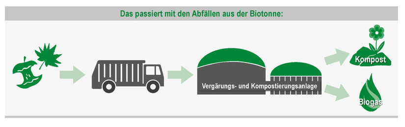 Grafik Der Weg des Bioabfalls