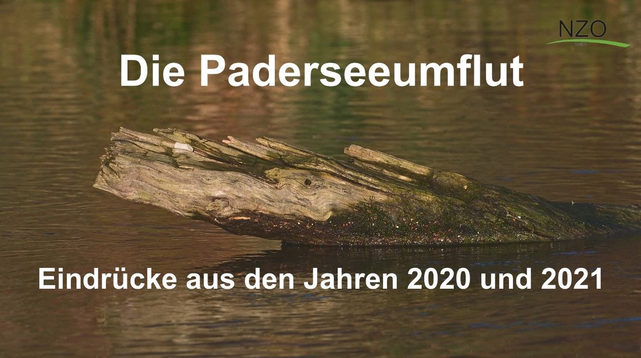 Die Paderseeumflut - Eindrücke aus den Jahren 2020 und 2021