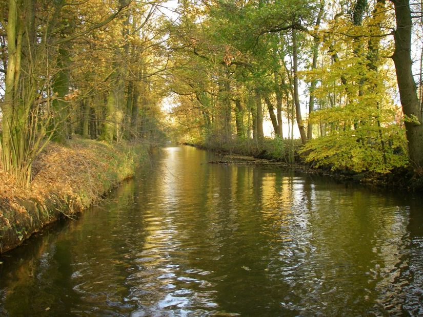 geradlinig verlaufender Boker Kanal