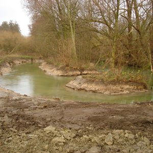 Nebenarme und flache Ufer im November 2009