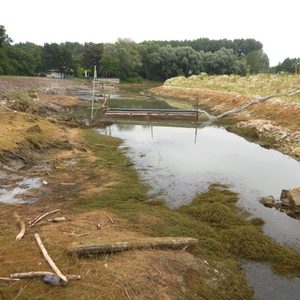 Restwasserflächen werden abgepumpt