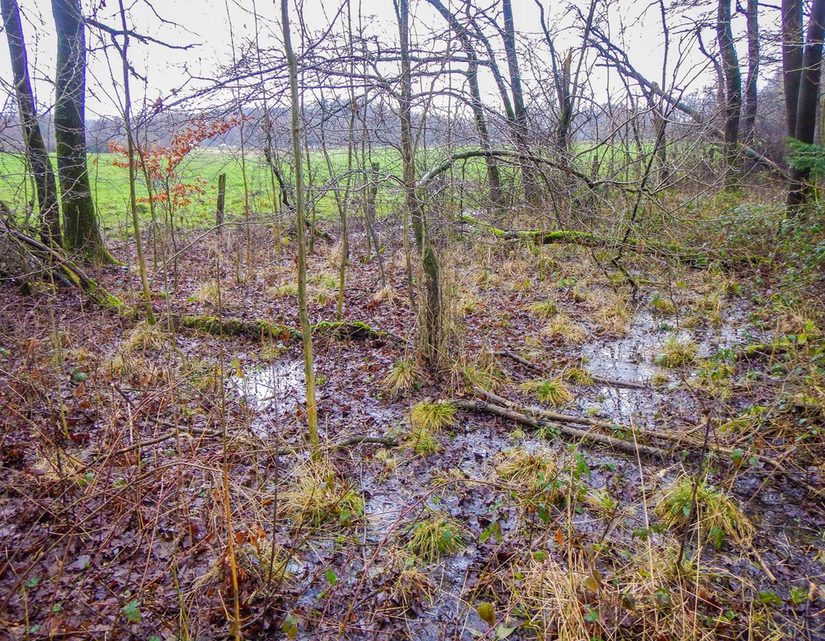 Sickerquelle der Jothe