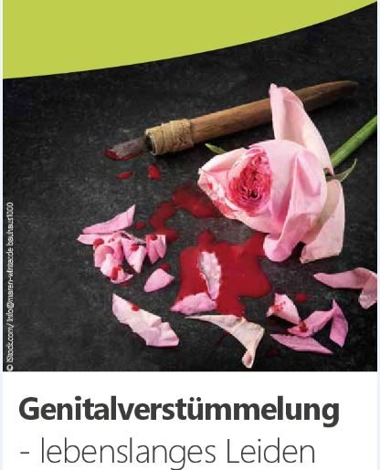 Deckblatt Flyer Genitalverstümmelung: rosa Rose und Rosenblätter auf Blut
