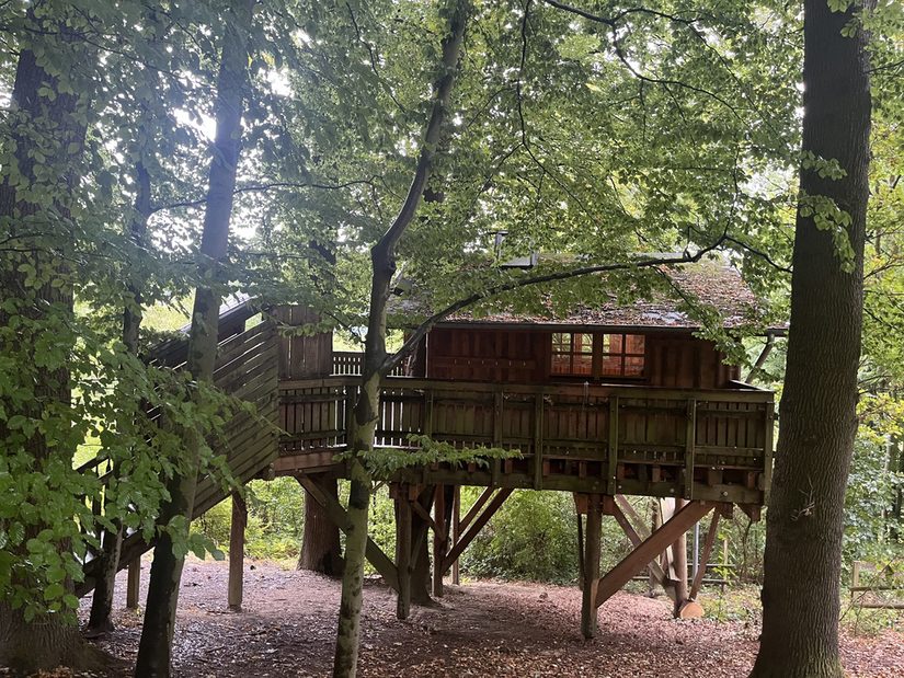 Baumhaus