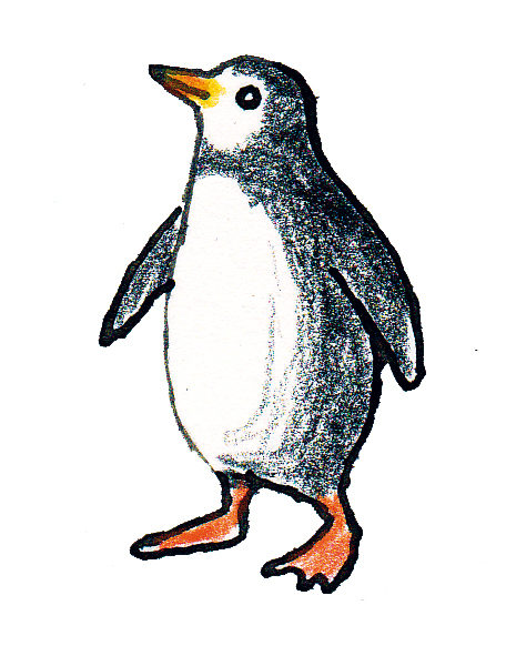 Klassentier Pinguine