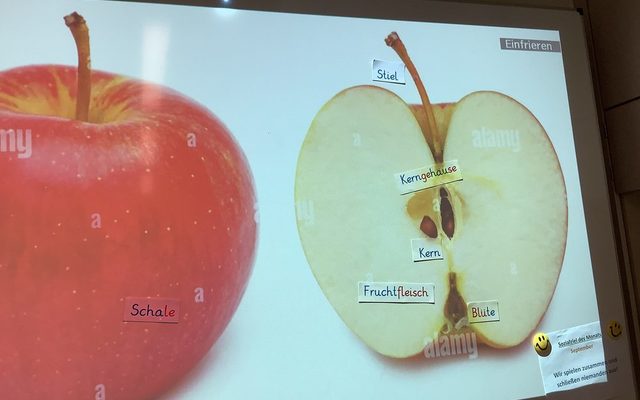 Ein aufgeschnittener Apfel ist auf dem Whiteboard zu sehen