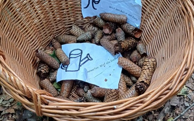 Zapfen in einem Korb.