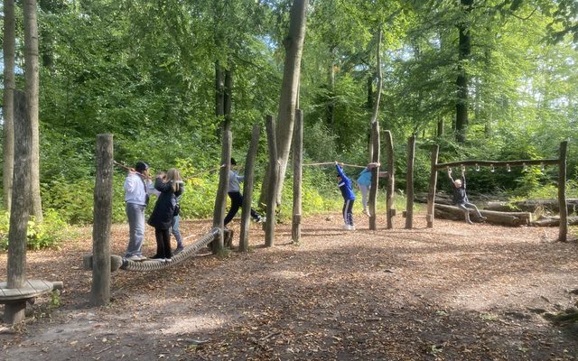 Die Kinder klettern im Wald.