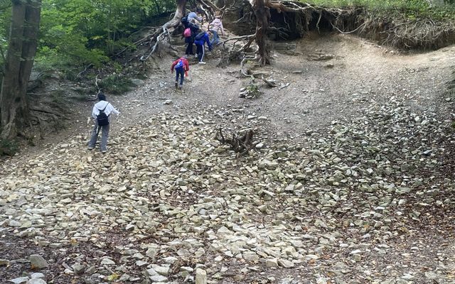 Die Kinder laufen zum Steinbruch.