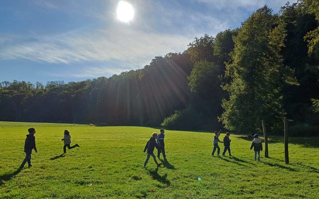 Die Kinder spielen auf einer Waldlichtung.