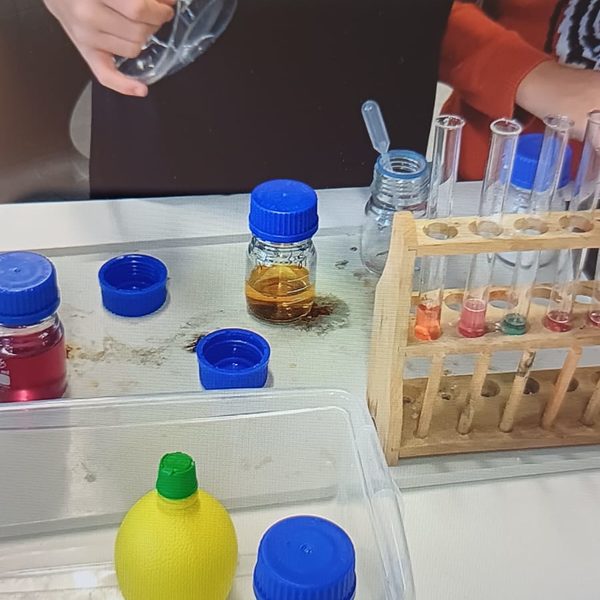 Reagenzgläser und Tinkturen sind auf einem Tisch zu sehen.