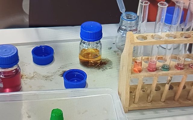 Reagenzgläser und Tinkturen sind auf einem Tisch zu sehen.