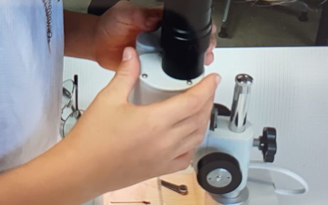 Ein Kind schaut durch ein Mikroskop.