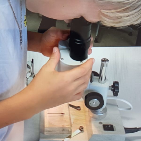 Ein Kind schaut durch ein Mikroskop.