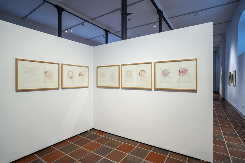 Foto des Museumsraums mit einem weißen Stellwandwinkel auf dem fünf Holzrahmen in denen zehn Zeichnungen von Schädeln angebracht sind.