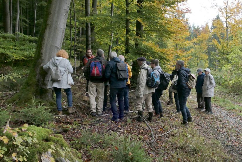 Erläuterung von Steffen Schmitt