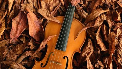 Jean Louis Aubert: Geige