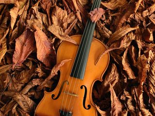 Jean Louis Aubert: Geige