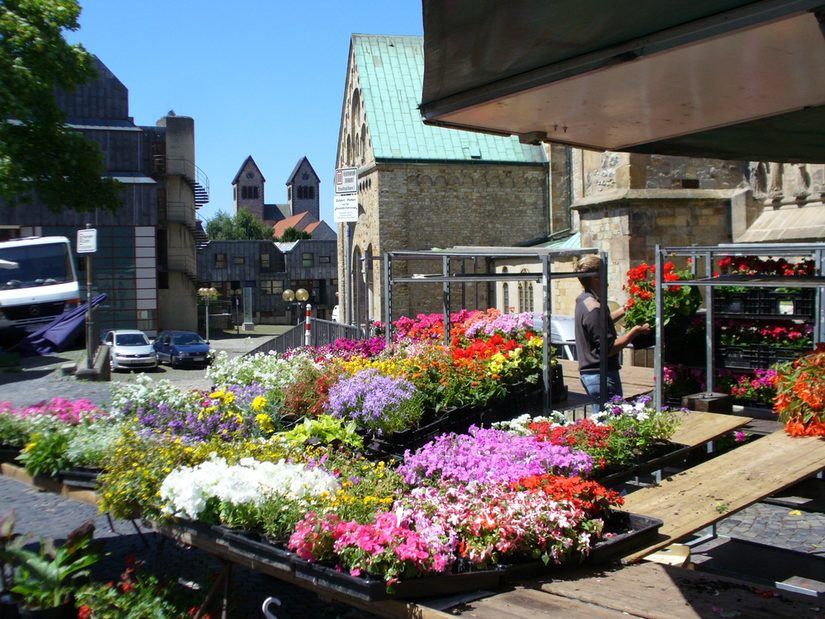 Blumen Markt