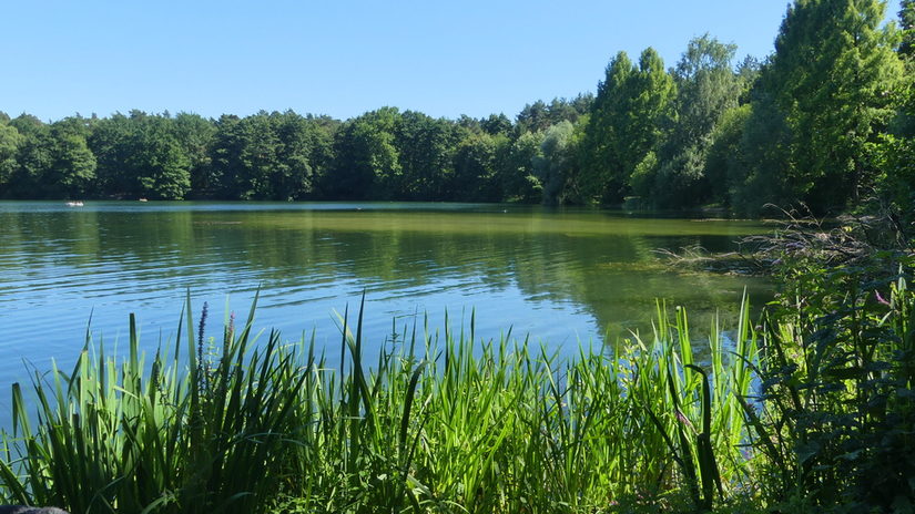 Der Habichtsee im Sommer (Baden verboten!)
