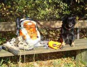 Hund und Rucksack