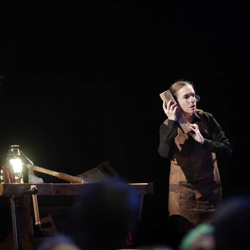 Schreinermeister Gepetto