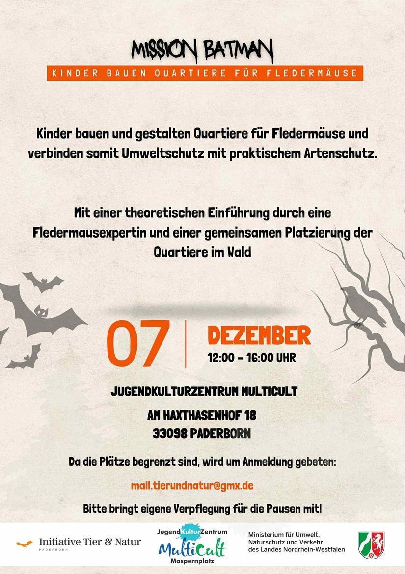 Flyer Mission Batman