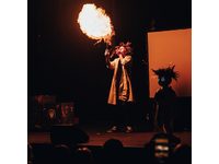 Professor Bummbastic - Knallegra