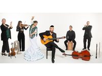 Flamenco "Andalucia"