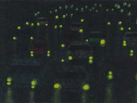 Walther Schwiete: Autolichter, 2019, Polyethylen-Schichtung