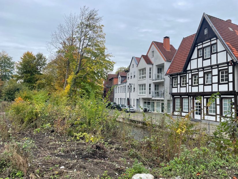 Entfernen von invasiven Gehölzen in Sukzessionsflächen