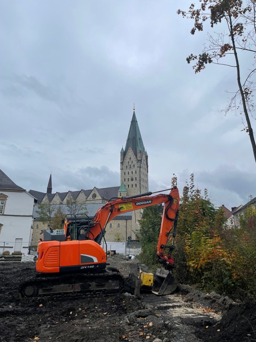 Rückbau Wegestruktur