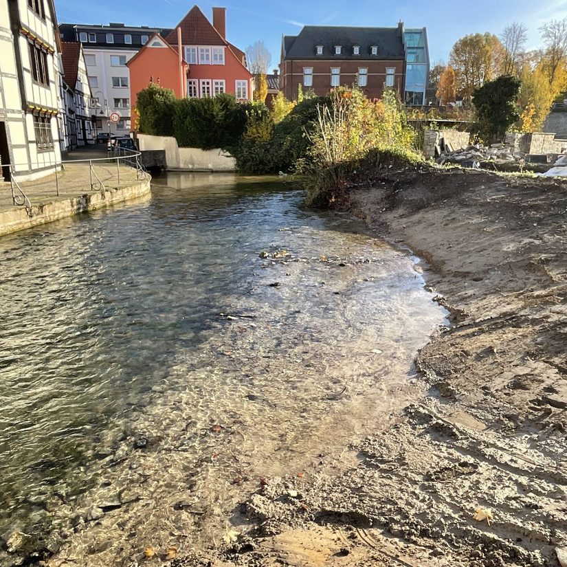 Uferabböschung Dielenpader