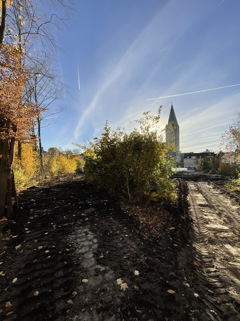 Zukünftige Wegeachse zwischen Sukzessionsflächen